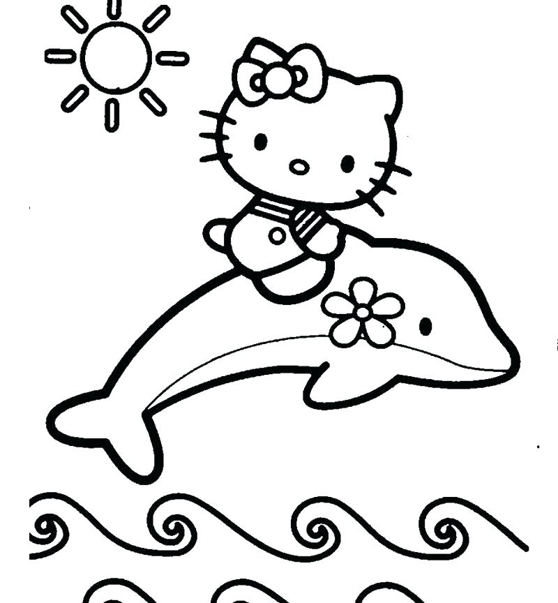 800x864 Dolphin Pictures To Color Plus Free Printable Number Coloring