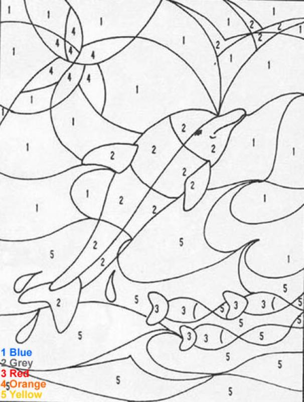 606x800 Dolphin Coloring Pages