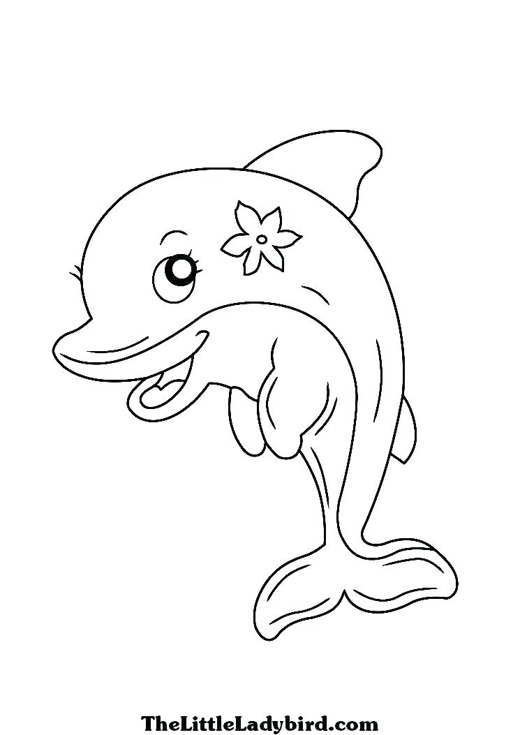 745x1053 Dolphins Coloring Page