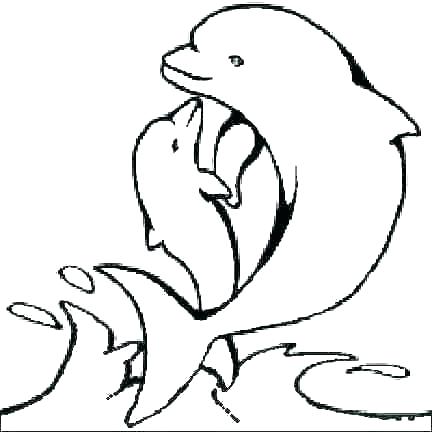 432x432 Free Dolphin Coloring Pages