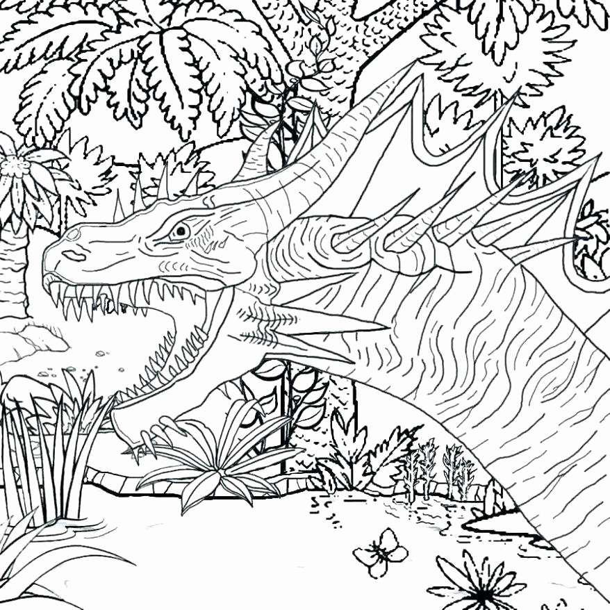 878x878 Dragon Coloring Pages For Adults Pictures New Free Dragon Coloring