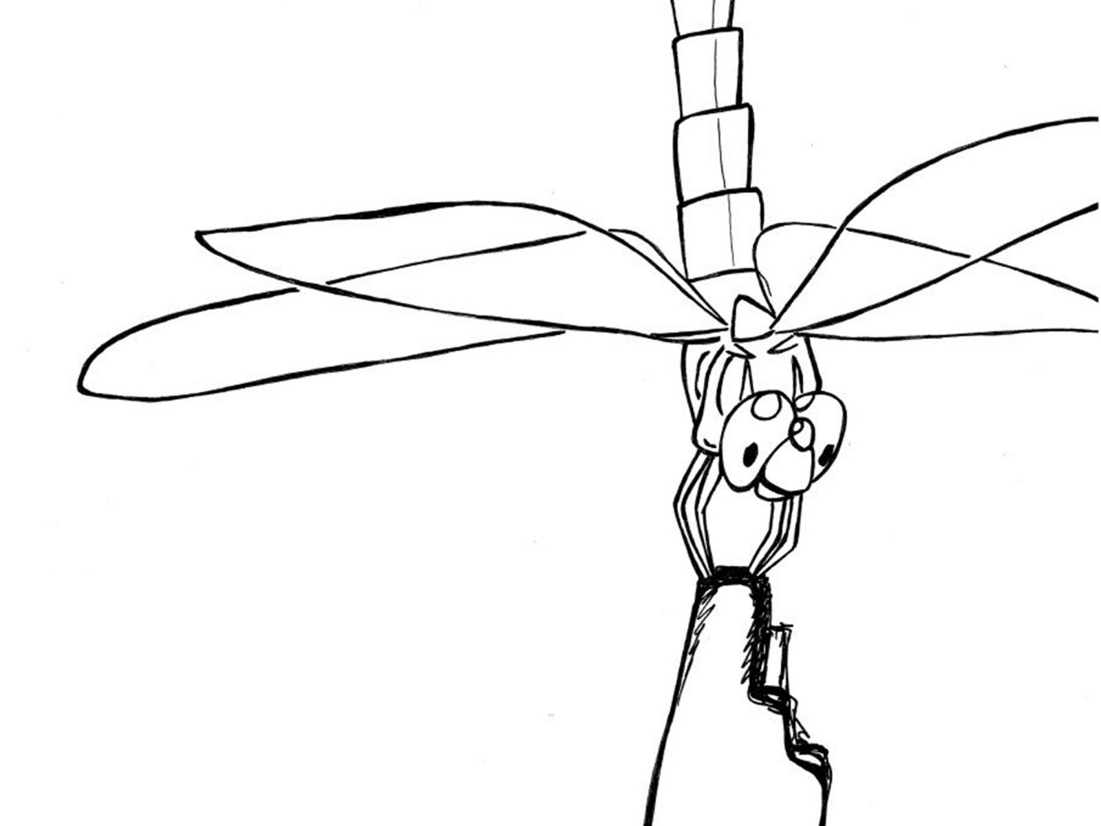 1600x1200 Dragonfly Coloring Pages For Kids Book Pictures Free Printable