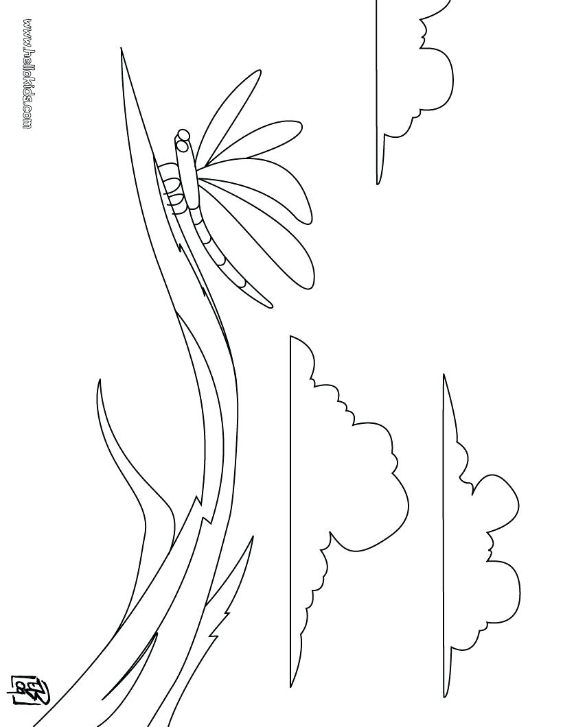 820x1060 Coloring Pages Dragonfly Coloring Page Cute Pages To Print