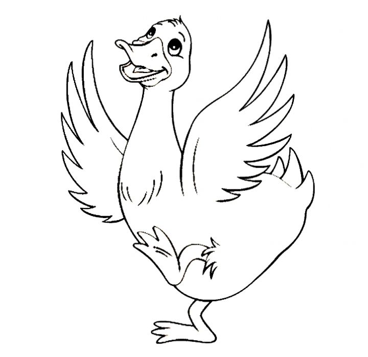 720x699 Duck Coloring Pages Free