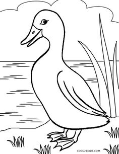 236x306 Free Printable Duck Coloring Pages For Kids Birds