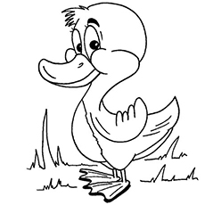 230x230 Top Free Printable Duck Coloring Pages Online
