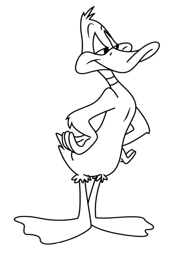 750x1000 Baby Duck Coloring Pages