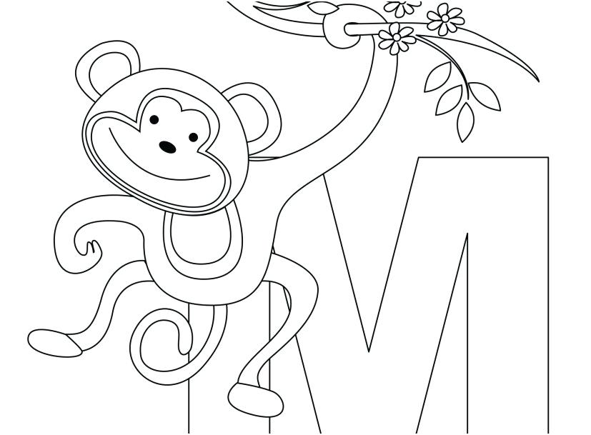 827x609 Easy Coloring Page Monkey Coloring Pages Gallery Monkey Animal