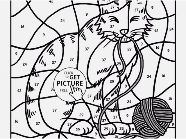 640x480 Free Educational Coloring Pages Images Color