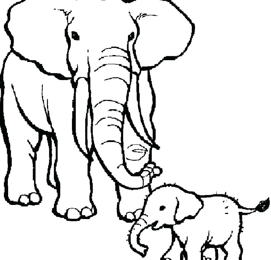 900x864 Free Elephants Pictures For Kids Download Free Clip Art Free