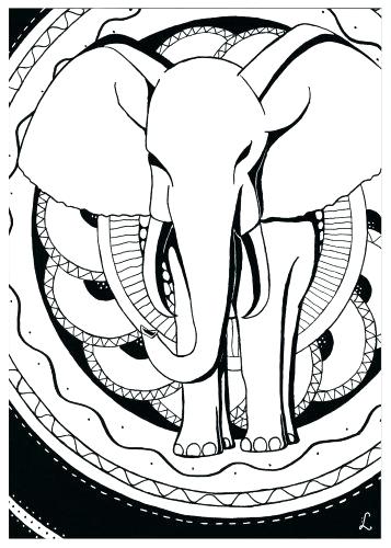 357x500 Free Printable Elephant Coloring Pages For Adults Elephant Color