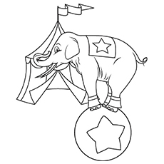 230x230 Top Free Printable Elephant Coloring Pages Online