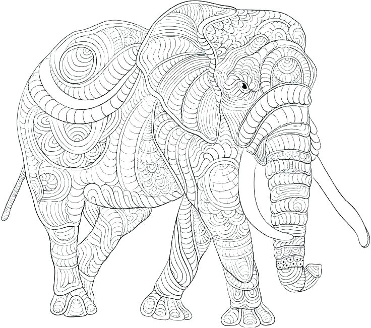 736x651 India Elephant Coloring Pages Drawn Hunting Savanna Elephant Free