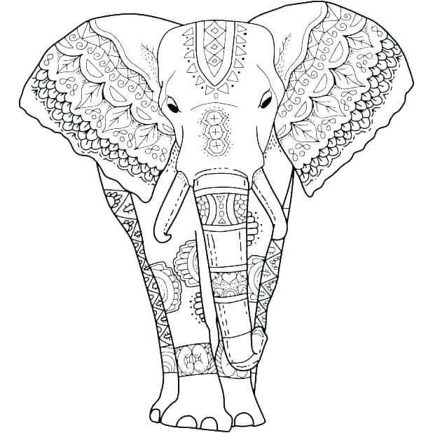 618x618 Elephant Coloring Pages Printable Professional