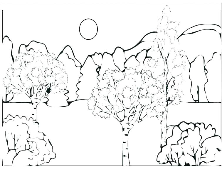 756x585 Forest Colouring Pages Coloring Book Forest Coloring Pages Does