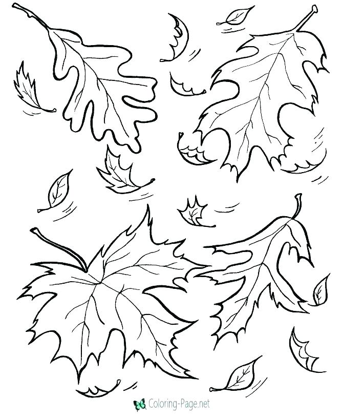 670x820 Fall Coloring Pages Printable Free Free Autumn And Fall Coloring