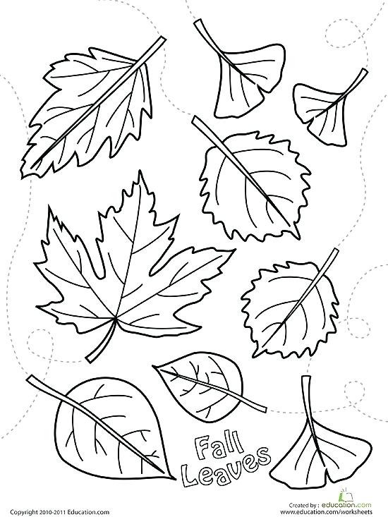 Free Fall Coloring Pages For Kids at GetDrawings | Free download