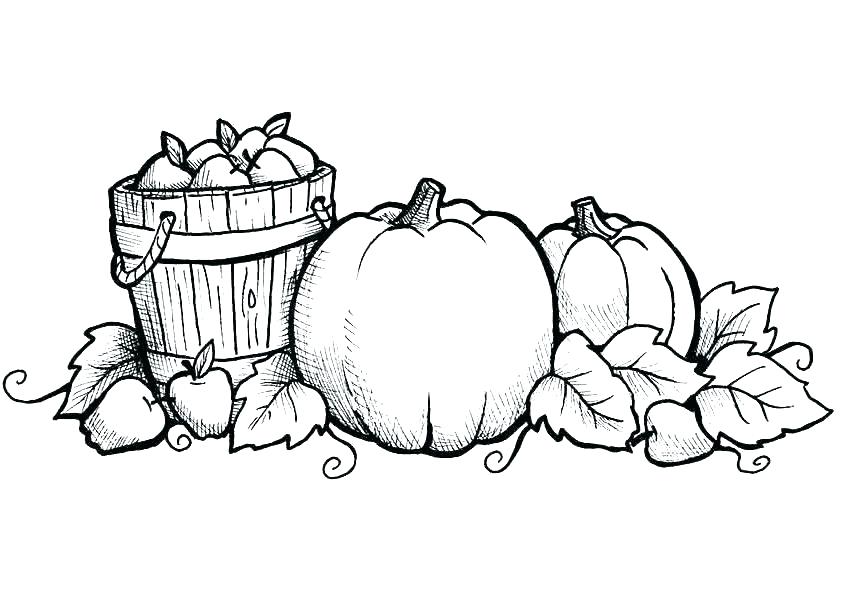 842x595 Fall Color Pages Fall Coloring Pages Printable Fall Coloring
