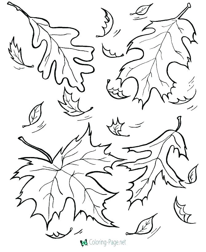 670x820 Fall Coloring Page Coloring Pages Of Fall Free Fall Printable