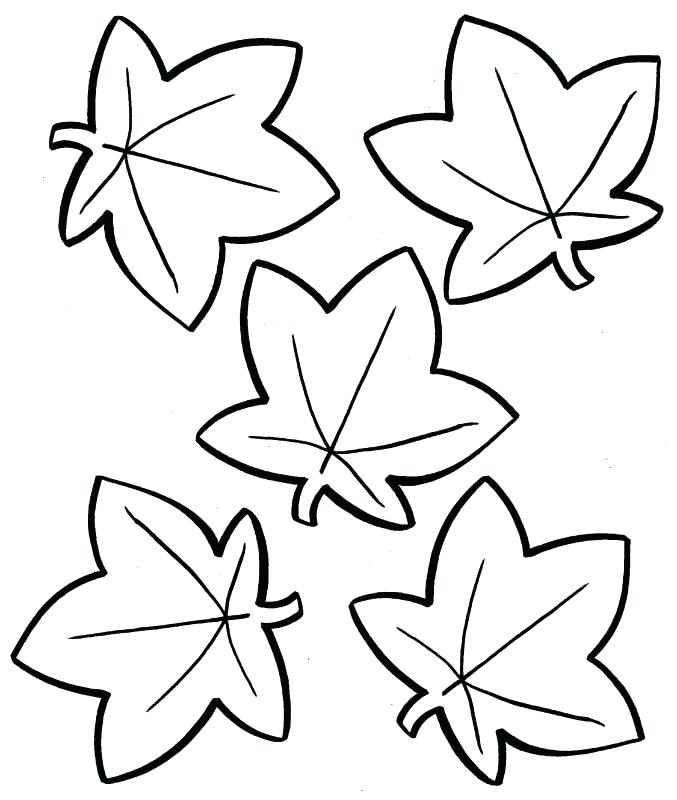 677x800 Leaf Coloring Page Leaf Coloring Pages For Preschool Autumn
