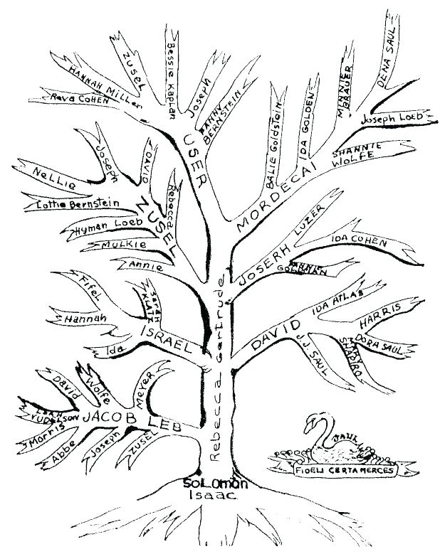 618x779 Printable Leaves Coloring Pages Family Tree Coloring Page