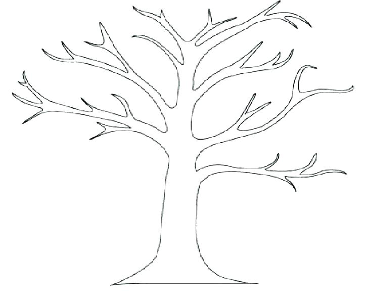 728x593 My Family Tree Colouring Pages
