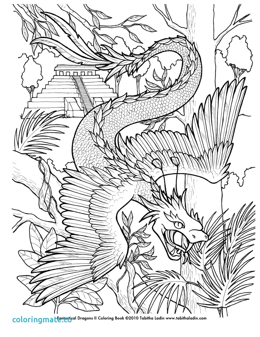 850x1100 Fantasy Coloring Pages Coloring Page