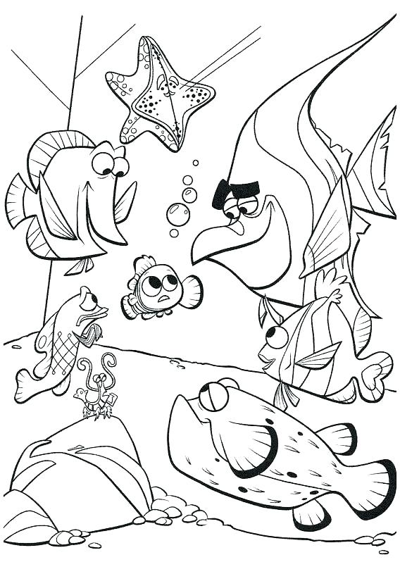 568x798 Nemo Printable Coloring Pages Finding Coloring Pages Finding