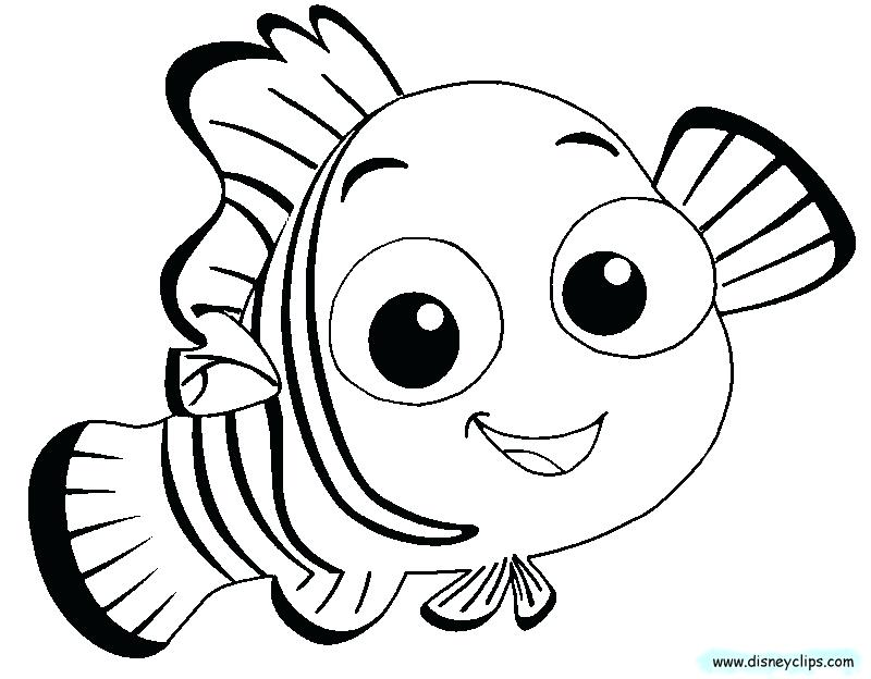 800x624 Free Finding Dory Coloring Pages