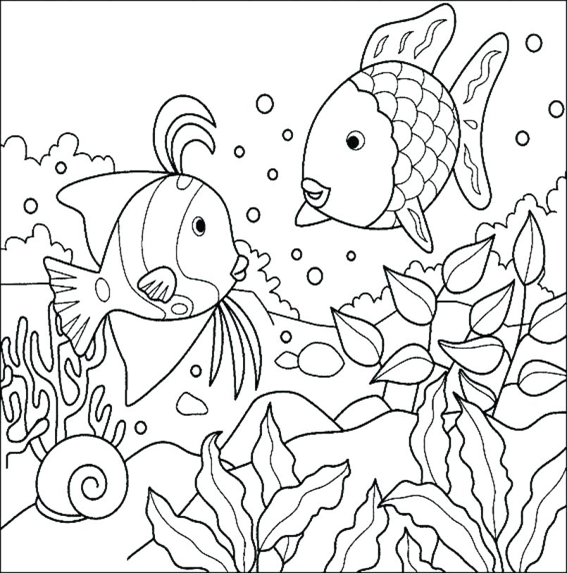 805x813 Fish Coloring Pages Printable Printable Fish Coloring Pages Large