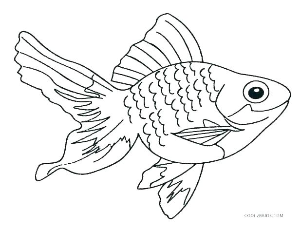 618x474 Real Fish Coloring Pages Aquarium Coloring Page Saltwater Fish