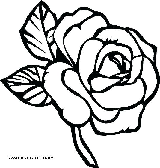 Free Floral Coloring Pages