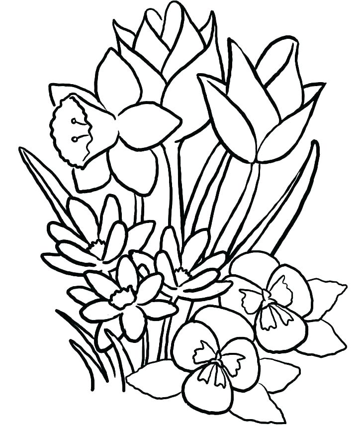 728x878 Flowers Coloring Pages Print Out Flowers Coloring Pages