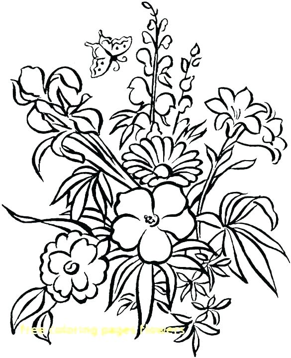 585x720 Coloring Pages Of A Flower Coloring Pages Flowers And Butterflies