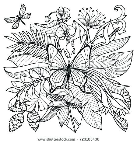 450x470 Coloring Pages Plants Coloring Pages Insects Tropical Flowers