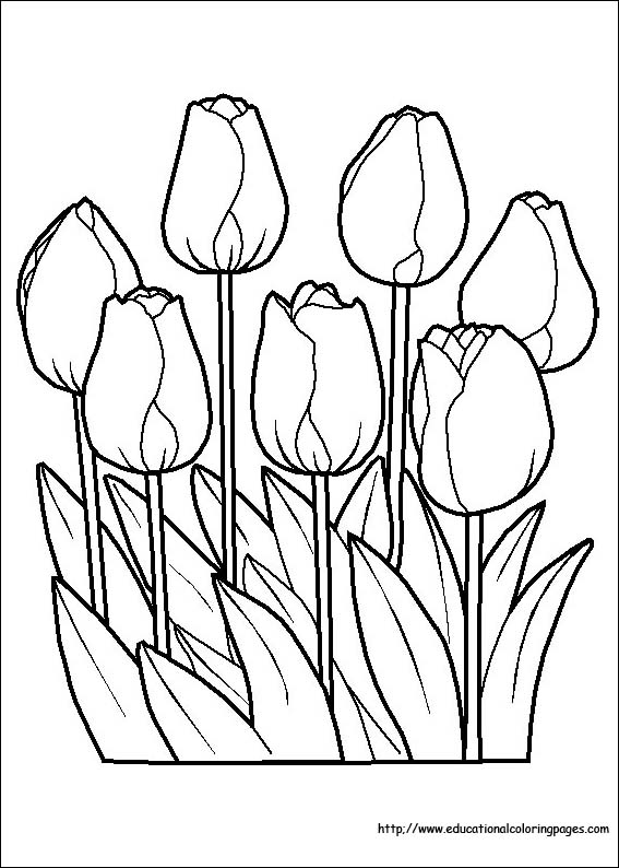 567x794 Flower Coloring Coloring Pages Free For Kids