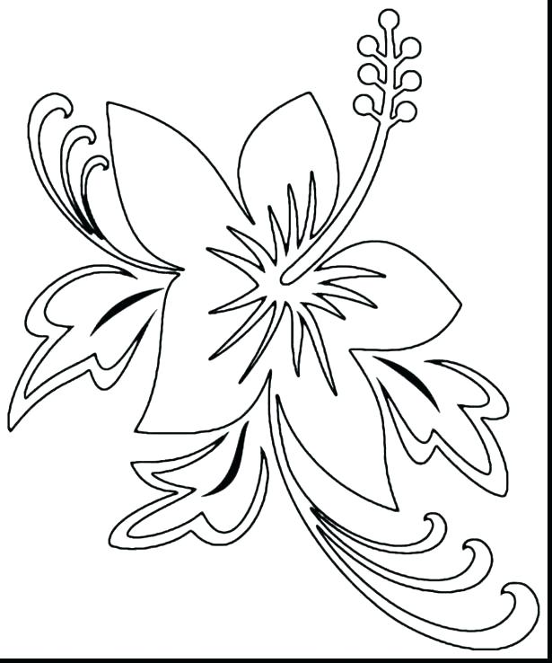 615x738 Carnation Coloring Page Coloring Pages For Girls Flowers X X Free