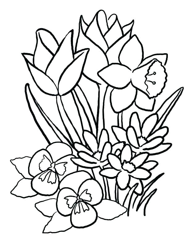 618x795 Coloring Pages Flowers Free Printable Flower Coloring Pages