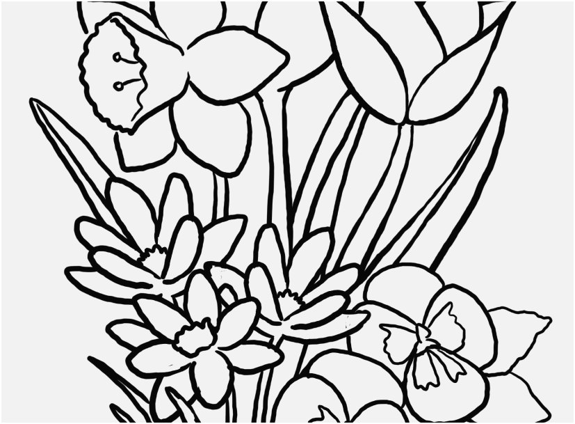 827x609 The Suitable Graphic Floral Coloring Pages Awesome