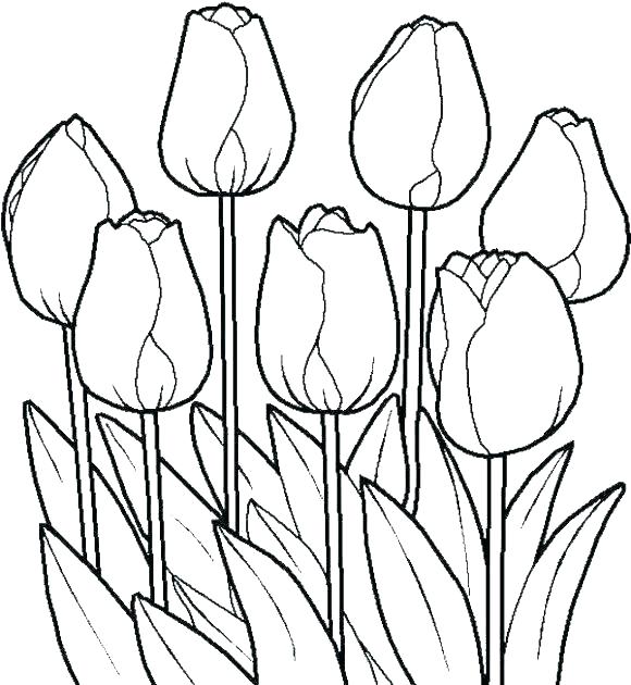 580x630 Spring Flowers Coloring Pages Icontent