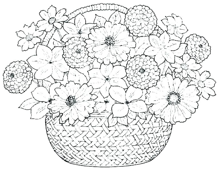 767x600 Floral Coloring Pages Coloring Pages For Spring Flowers Flowers