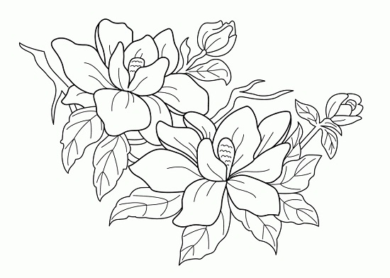 550x392 Free Fabulous Free Printable Flower Coloring Pages