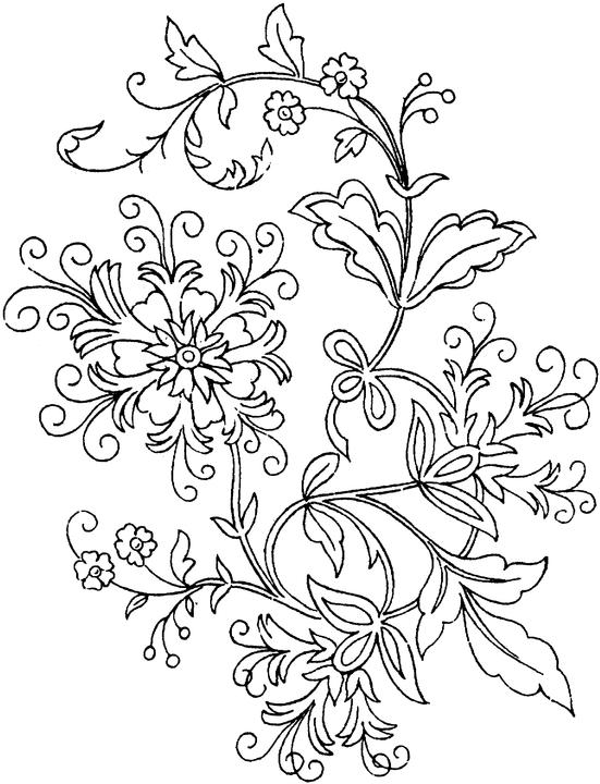 551x720 Free Printable Flower Coloring Pages Adult Coloring Page For Kids