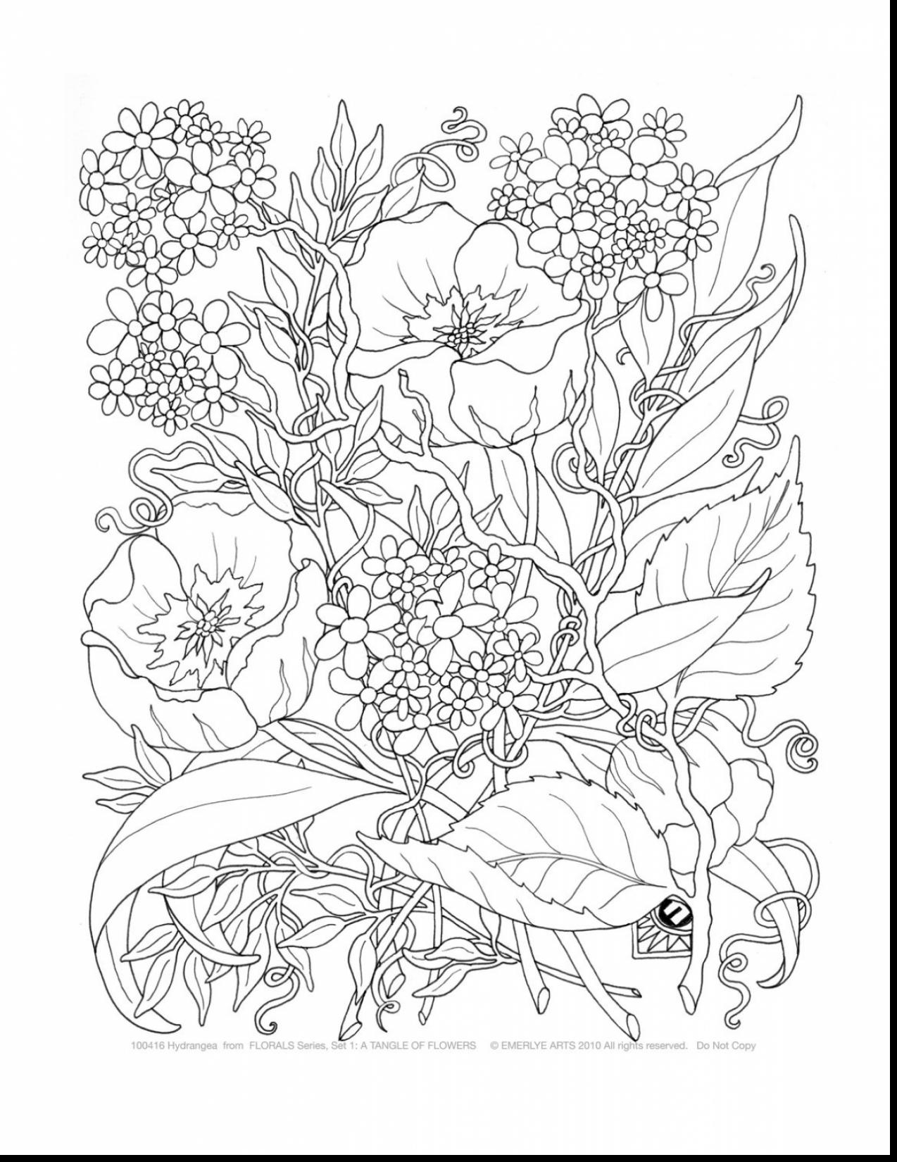 1274x1650 Adult Flower Coloring Pages For Adults Flowers Bloodbrothers Me