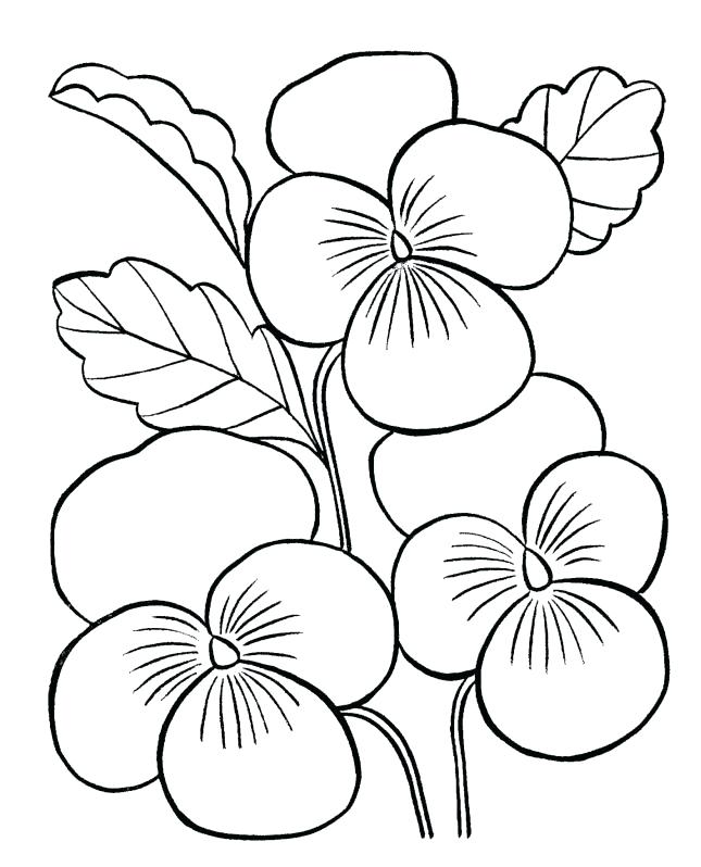 645x798 Coloring Pages Of Flowers Related For Free Printable Colouring