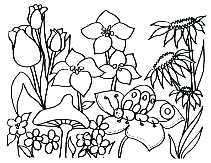 805x622 Flower Coloring Pages Pdf As Well As Elegant Flower Coloring Pages