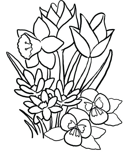 496x601 Free Spring Flowers Coloring Pages Printable Free Coloring Book