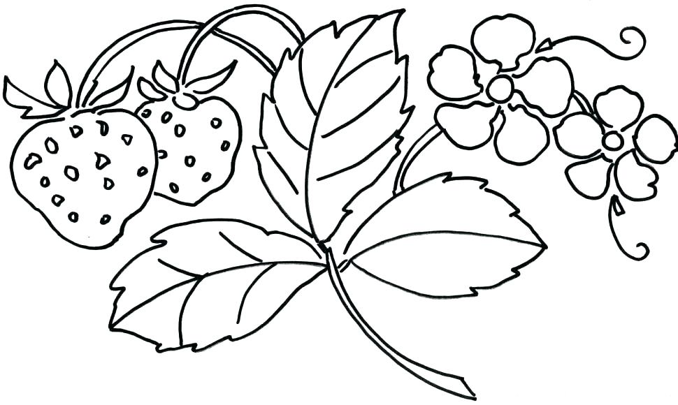 970x580 Coloring Pages Flowers Printable Flowers Coloring Pages Free