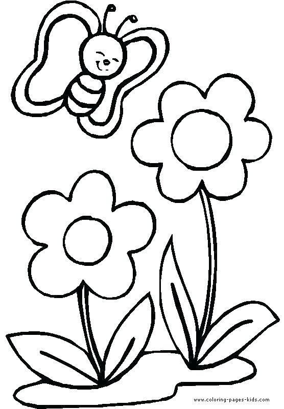 556x800 Free Printable Flower Coloring Pages Free Printable Flowers