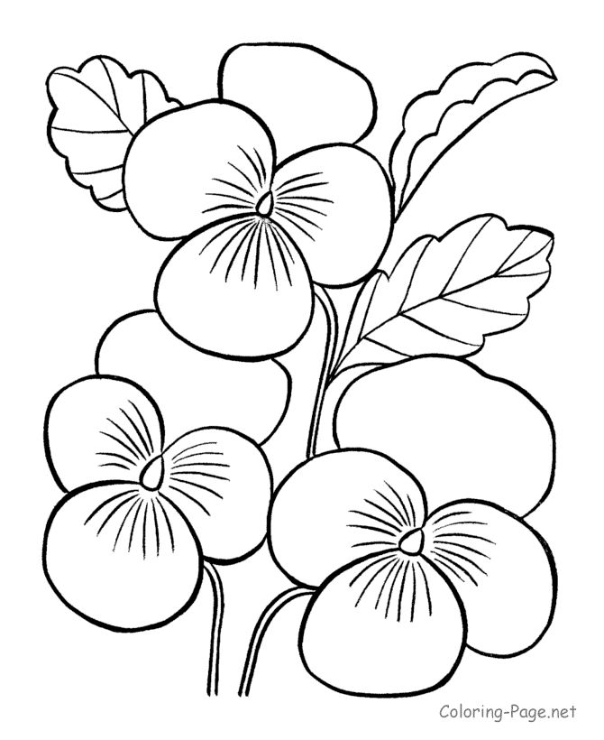 670x820 Stylist Ideas Free Flower Coloring Pages Best